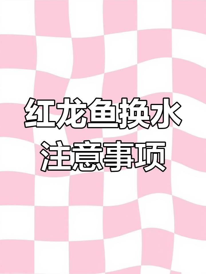 龍魚入缸后多久換水