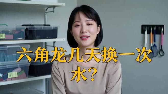 龍魚入缸后多久換水