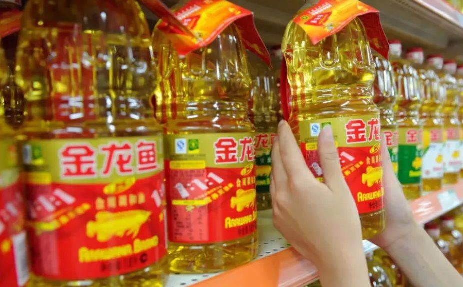 龍魚開側燈了頂燈還用開嗎：龍魚開側燈了頂燈還用開嗎，