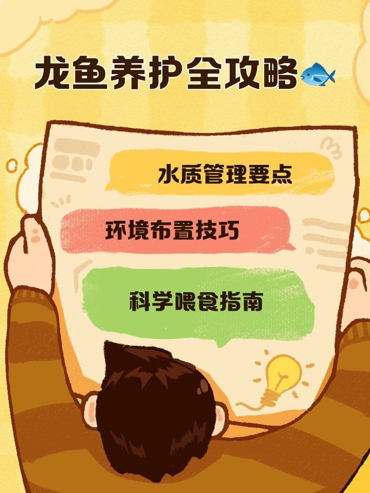 龜增色龍魚日常護理