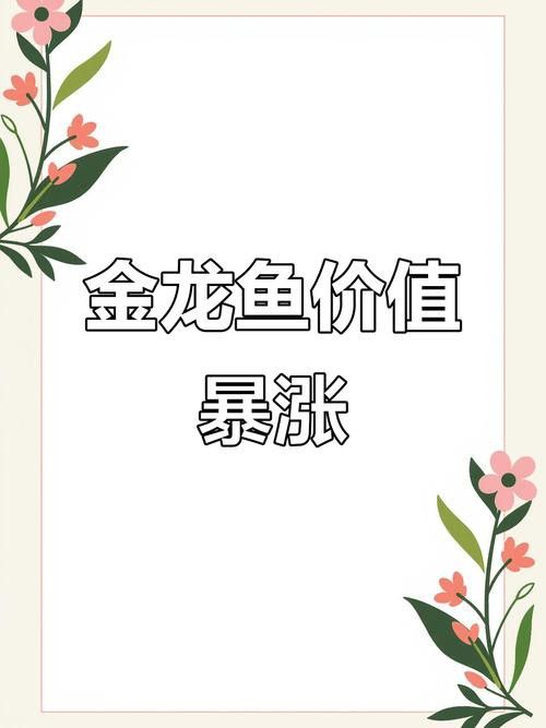 金龍魚的市場價格波動大嗎？