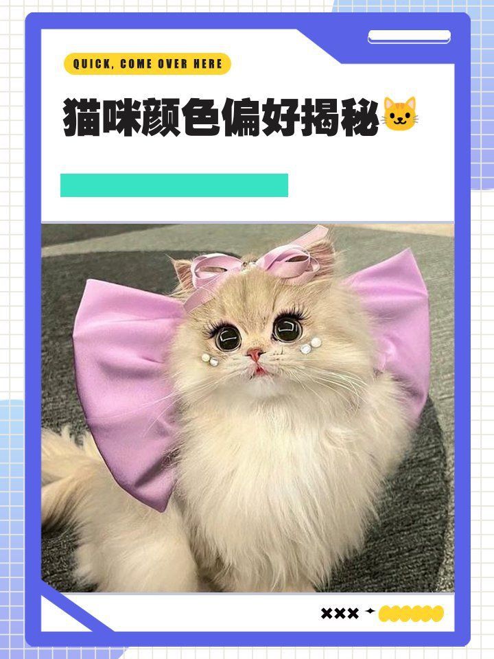 金魚貓最討厭什么顏色