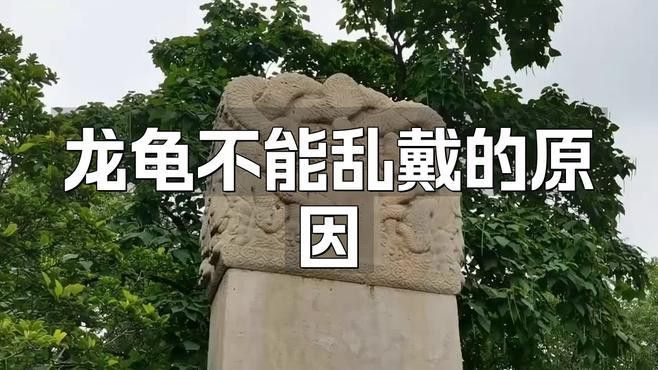 龍龜佩戴有哪些禁忌？