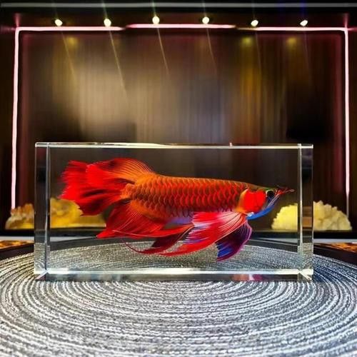 如何挑選高質量的金龍魚工藝品？