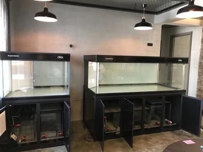 魚缸過濾系統哪個好（如何選擇魚缸過濾器）