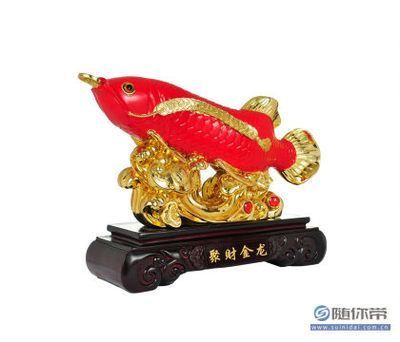 聚財龍魚放在家里好嗎風(fēng)水好嗎：聚財龍魚放在家里好嗎