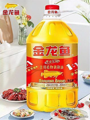 金龍魚品牌理念怎么寫