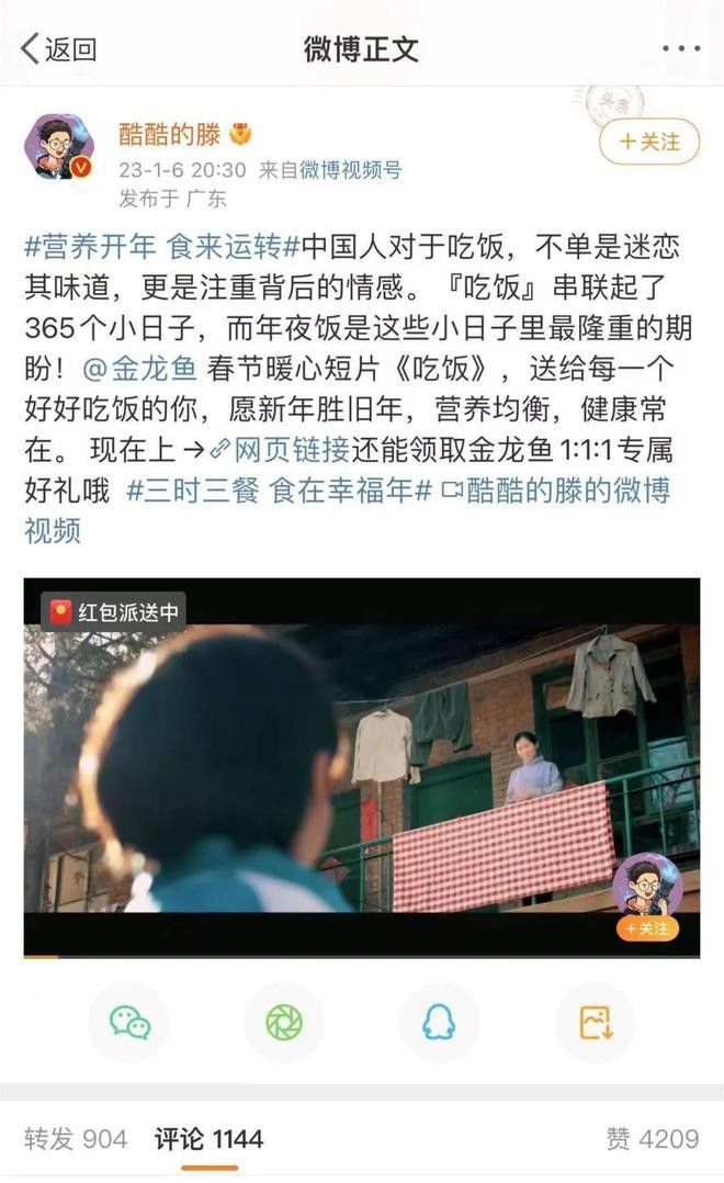 金龍魚品牌理念怎么寫