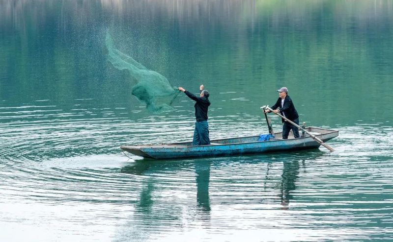 十堰市黃龍魚頭(北京中路店)怎么樣