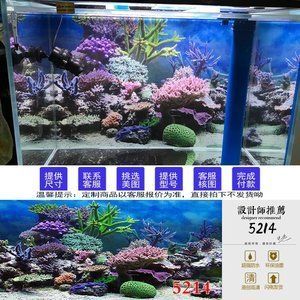 龍魚缸裝飾建議：養龍魚的裝飾建議