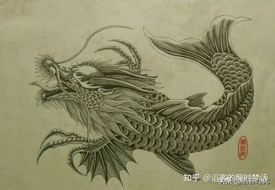 龍魚(yú)歷史記載多少年：龍魚(yú)歷史記載多少年，龍魚(yú)的歷史記載可以確定的是遠(yuǎn)古石炭紀(jì)的存在