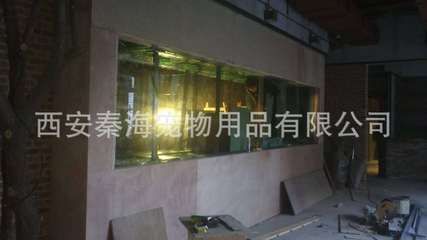 西安魚缸定制祥龍魚場地