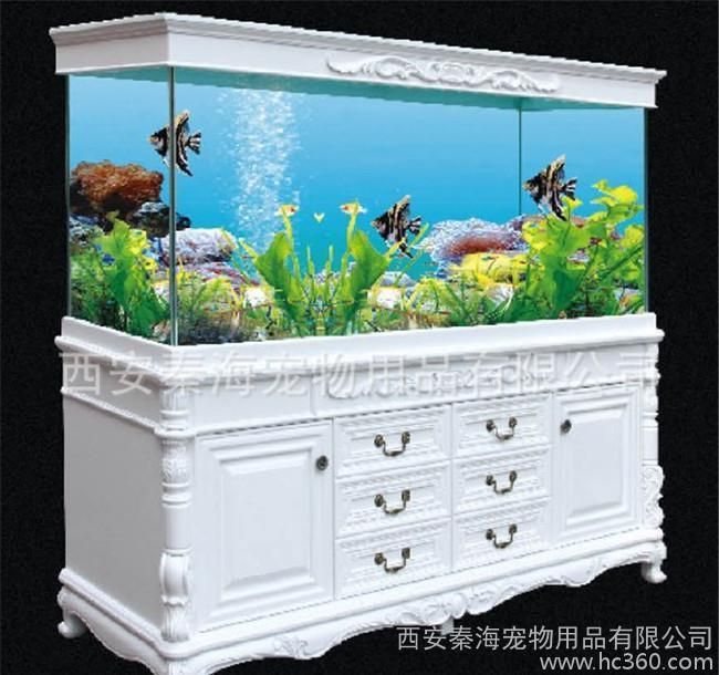 西安魚缸定制祥龍魚場地
