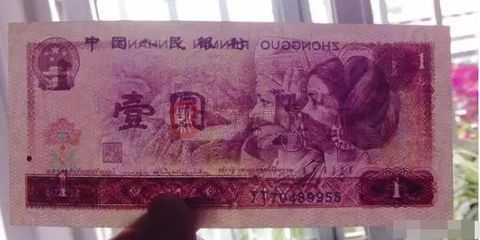 3斤的金龍魚值多少錢人民幣（金龍魚的價(jià)格是多少一條金龍魚的價(jià)格是多少錢一條）
