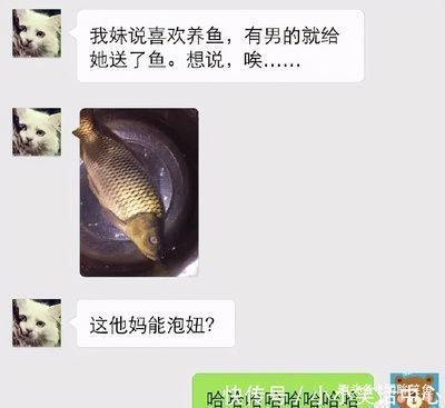 成色好的金龍魚多少錢一條啊：成色好的金龍魚價格從2000元到數萬元不等