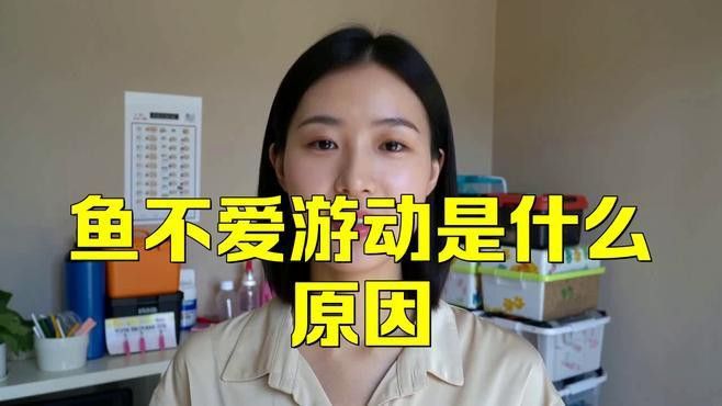 恐龍魚不愛游動怎么辦呢視頻