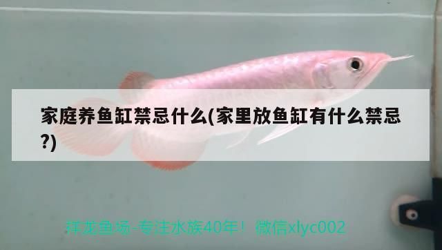家庭養魚缸禁忌什么(家里放魚缸有什么禁忌?)