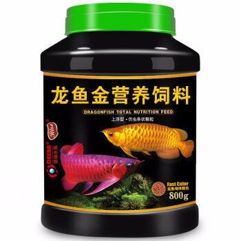 紅龍魚專用飼料購買渠道（紅龍魚專用飼料成分解析紅龍魚專用飼料成分解析）