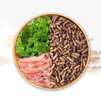 紅龍魚專用飼料購買渠道（紅龍魚專用飼料成分解析紅龍魚專用飼料成分解析）