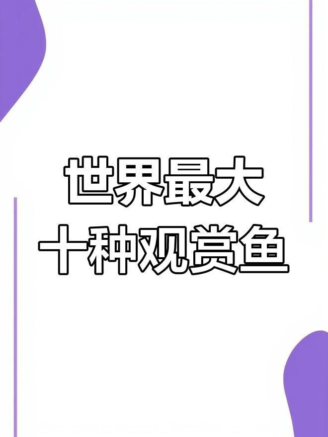 中大型觀賞魚大全