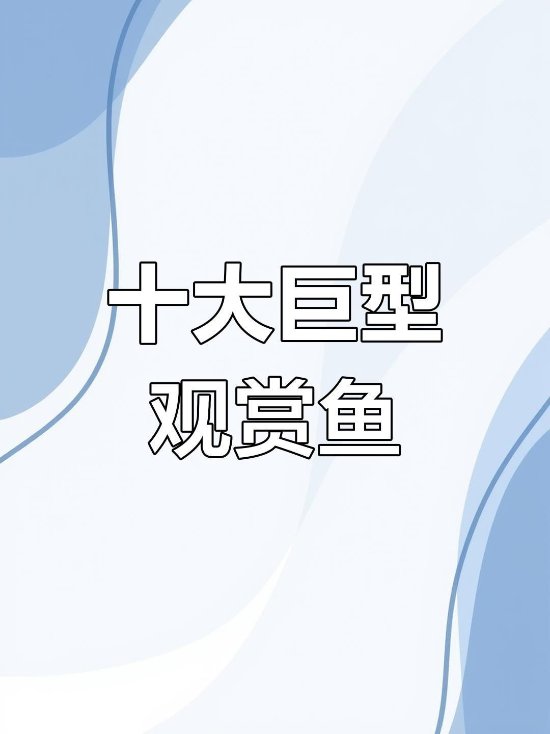 中大型觀賞魚大全