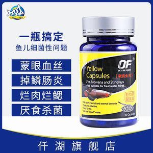 金龍魚蒙眼爛尾什么原因【金龍魚蒙眼爛尾什么原因引起金龍魚爛尾什么原因】
