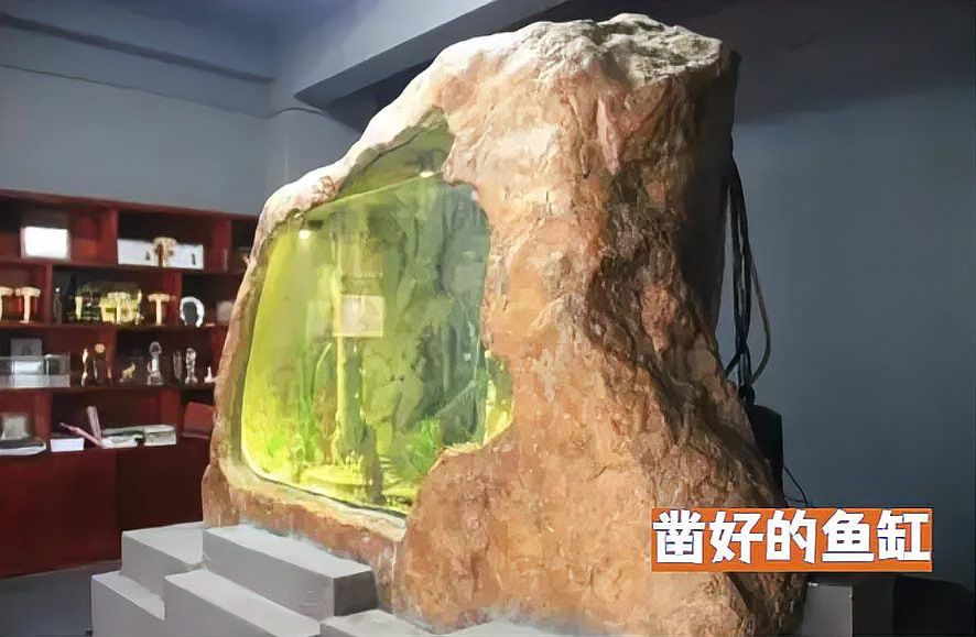 東海龍宮御龍魚缸圖片欣賞大全