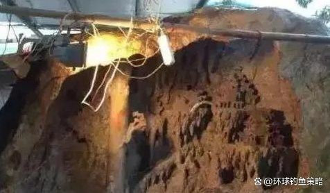 東海龍宮御龍魚缸圖片欣賞大全