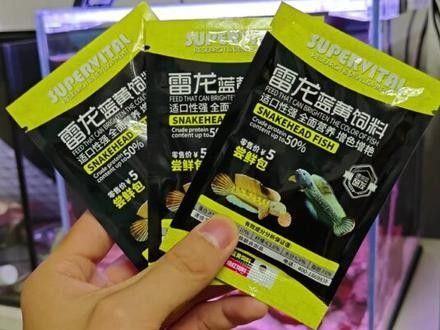 雷龍魚如何發色好看
