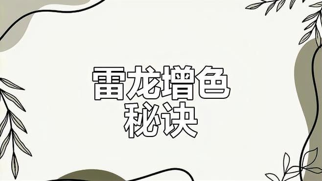 雷龍魚如何發色好看
