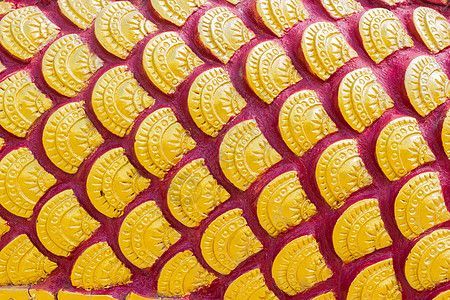 金龍魚鱗碎一角【金龍魚鱗碎一角可能是由多種原因造成的,水質問題】
