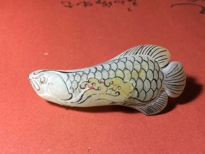 金龍魚鱗碎一角【金龍魚鱗碎一角可能是由多種原因造成的,水質問題】