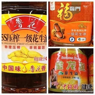 金龍魚競爭優勢:金龍魚在競爭激烈的食品市場中保持領先地位保持領先地位 龍魚百科 第1張 金龍魚競爭優勢:金龍魚在競爭激烈的食品市場中保持領先地位保持領先地位 金龍魚競爭優勢:金龍魚在競爭激烈的食品市場中保持領先地位保持領先地位 龍魚百科 第1張