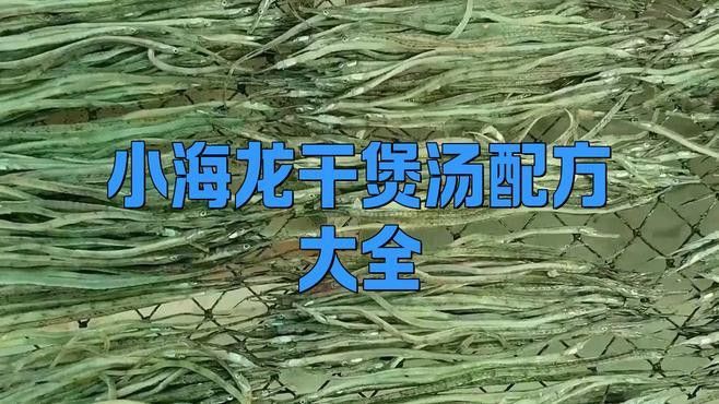 小海龍魚干的價格范圍是多少？