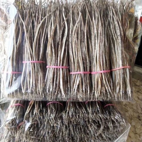 小海龍魚干的價格范圍是多少？