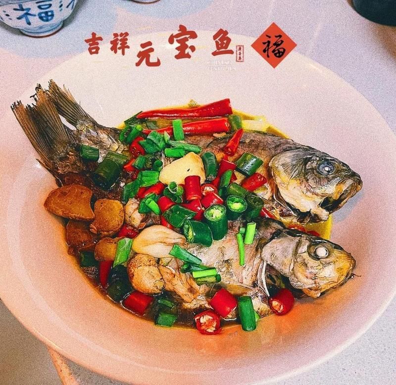 金元寶魚簡介