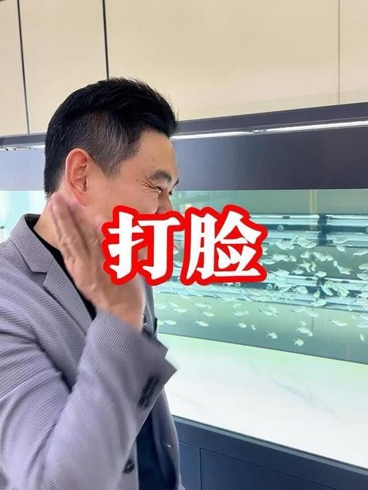 龍魚和黑魚混養可以嗎