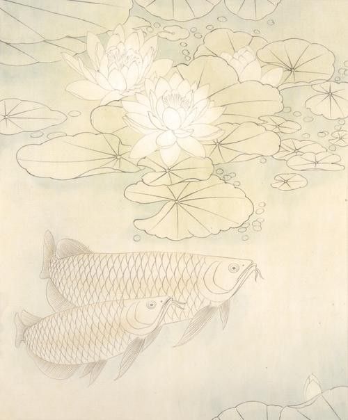 金龍魚(yú)結(jié)構(gòu)圖片大全集