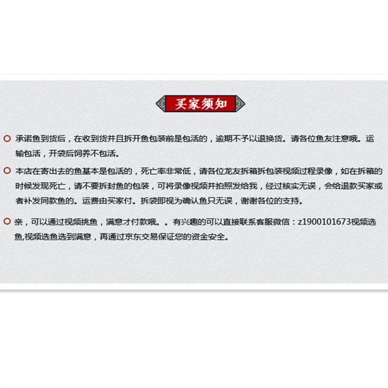 印尼紅龍魚品種及特點：關于印尼紅龍魚品種及其特點的詳細介紹