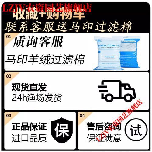 如何選擇適合辣椒紅龍的過濾器？