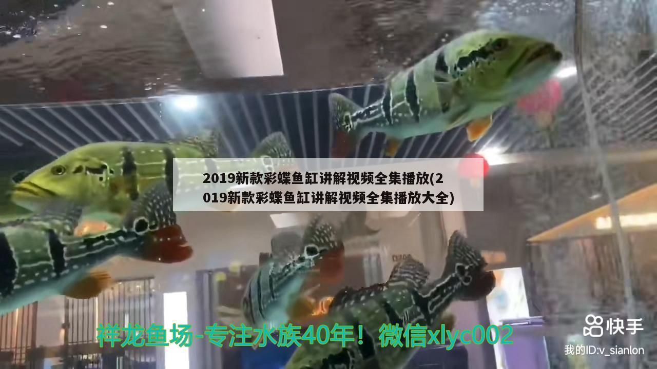 紅龍魚金龍魚混養用多少k的燈好呢：金龍紅龍混養用什么燈燈管