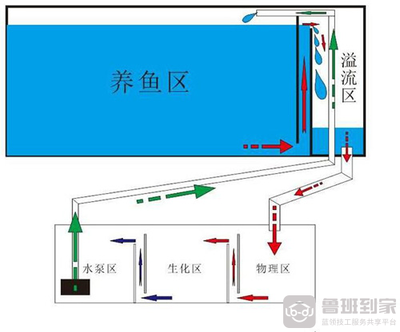詳細閱讀:魚缸過濾器怎么不運作過濾了 魚缸過濾器怎么不運作過濾了