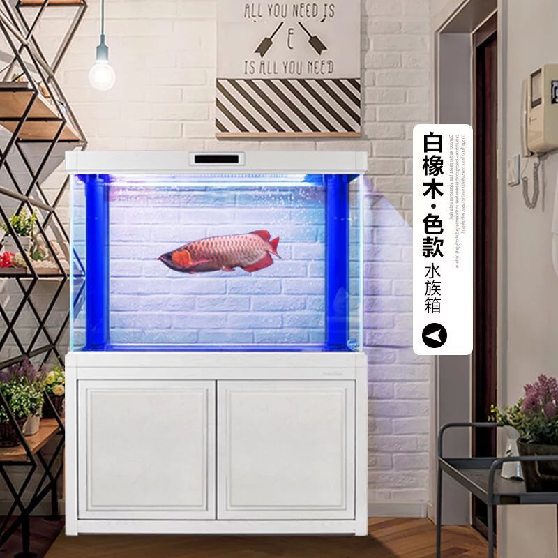 龍魚多大缸合適養：養龍魚需要選擇合適的龍魚缸尺寸，這樣養什么龍魚都合適了