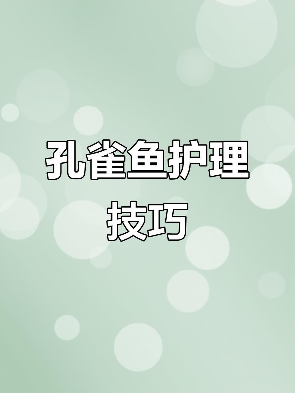 孔雀魚鴻運當(dāng)頭魚苗死亡率太高了