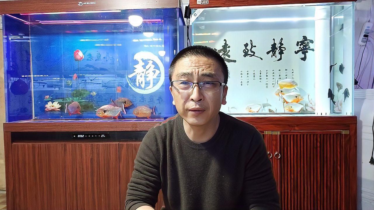 如何預防魚鰭紅血絲的再次發生？