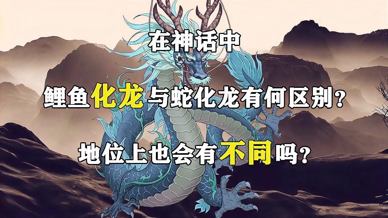 鯉魚化龍和蛇化龍的區別