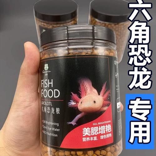 六角龍魚吃什么品牌飼料好？