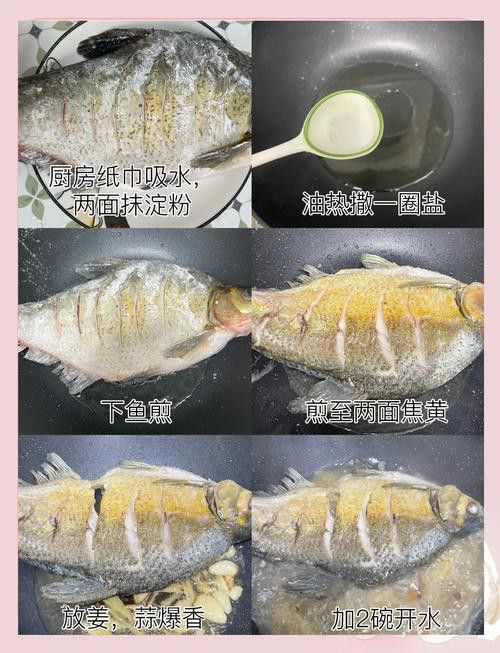 銀龍魚做法大全圖片