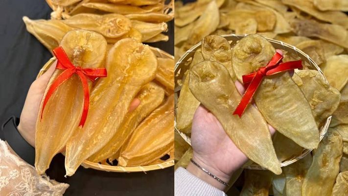 金龍魚膠有分公母嗎怎么吃（金龍魚性別分辨及食用方法）