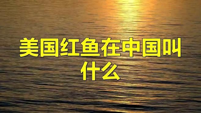 美國紅魚在中國叫什么